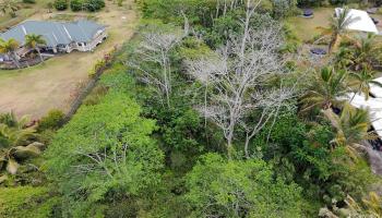 15-1590 17th Ave  Keaau, Hi vacant land for sale - photo 4 of 6