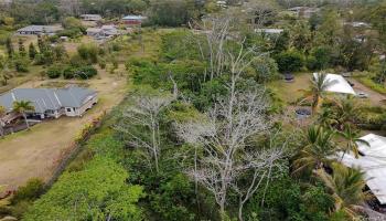 15-1590 17th Ave  Keaau, Hi vacant land for sale - photo 5 of 6