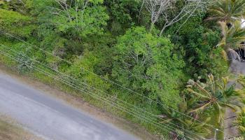 15-1590 17th Ave  Keaau, Hi vacant land for sale - photo 6 of 6