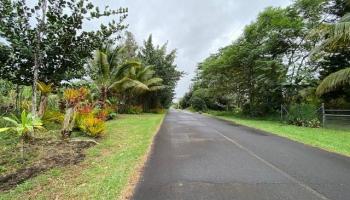 15-1675 7th Ave  Keaau, Hi vacant land for sale - photo 3 of 8