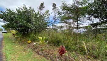 15-1675 7th Ave  Keaau, Hi vacant land for sale - photo 4 of 8