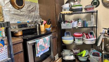 15-180  Puni Kahakai Loop Hawaiian Beaches, Puna home - photo 3 of 6