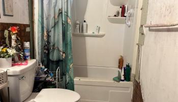 15-180  Puni Kahakai Loop Hawaiian Beaches, Puna home - photo 6 of 6