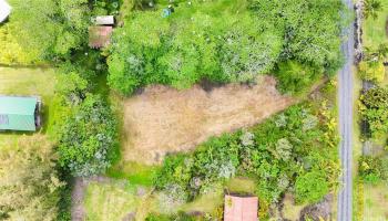 15-2038 16th Ave  Keaau, Hi vacant land for sale - photo 2 of 5