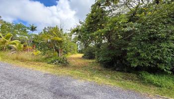15-2038 16th Ave  Keaau, Hi vacant land for sale - photo 3 of 5