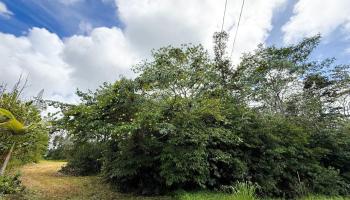 15-2038 16th Ave  Keaau, Hi vacant land for sale - photo 4 of 5
