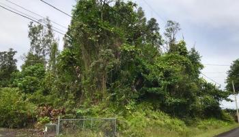 15-2718 Hou Street  Pahoa, Hi vacant land for sale - photo 1 of 1