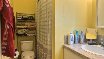 15-2737  Lalakea St Hawaiian Parks, Puna home - photo 5 of 6