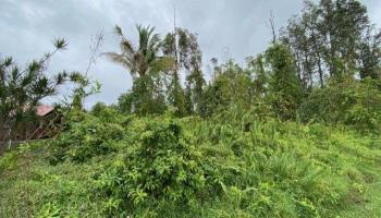 15-2799 Maikoiko Street  Pahoa, Hi vacant land for sale - photo 2 of 6