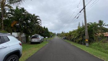 15-2799 Maikoiko Street  Pahoa, Hi vacant land for sale - photo 5 of 6