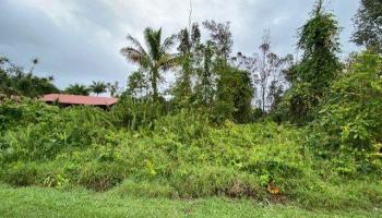 15-2799 Maikoiko Street  Pahoa, Hi vacant land for sale - photo 6 of 6