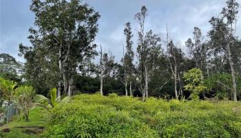 15-2802 Moi Street Lot 1306 Pahoa, Hi 96778 vacant land - photo 1 of 11 15-2802 Moi Street Lot 1306 Pahoa, Hi 96778 vacant land - photo 1 of 11