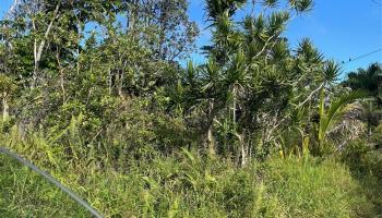 15-2811 LAI Street  Pahoa, Hi vacant land for sale - photo 1 of 4