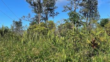 15-2811 LAI Street  Pahoa, Hi vacant land for sale - photo 3 of 4