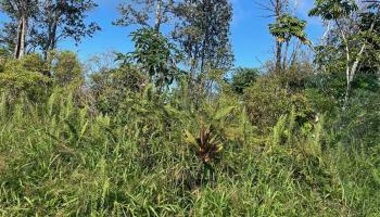 15-2811 LAI Street  Pahoa, Hi vacant land for sale - photo 4 of 4