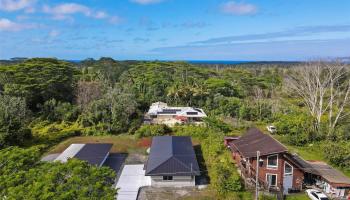 15-2829  Manalo St Hawaiian Shores, Puna home - photo 2 of 25