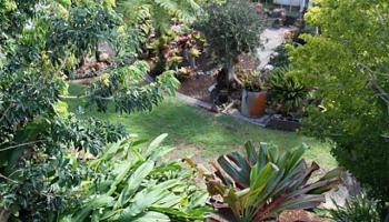 1560 Glen Ave Wahiawa Heights, Central home - photo 4 of 10 1560 Glen Ave Wahiawa Heights, Central home - photo 4 of 10