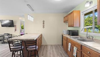 15-613  Puni Mauka Loop Hawaiian Parks, Puna home - photo 6 of 20