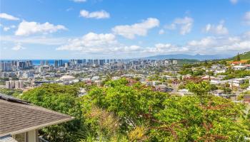 1571  Alencastre St St. Louis, Diamond Head home - photo 5 of 19