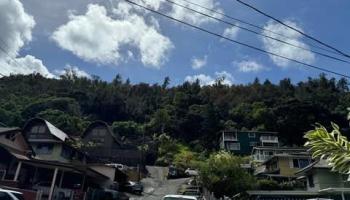 1581 Murphy Street  Honolulu, Hi vacant land for sale - photo 3 of 7