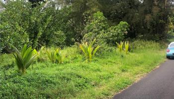 15-920 Paradise Ala Kai Drive Keaau, Hi 96749 vacant land - photo 2 of 12 15-920 Paradise Ala Kai Drive Keaau, Hi 96749 vacant land - photo 2 of 12
