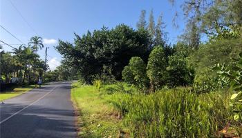 15-920 Paradise Ala Kai Drive Keaau, Hi 96749 vacant land - photo 3 of 12 15-920 Paradise Ala Kai Drive Keaau, Hi 96749 vacant land - photo 3 of 12