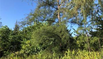 15-920 Paradise Ala Kai Drive Keaau, Hi 96749 vacant land - photo 5 of 12