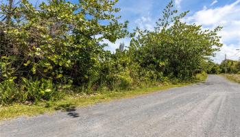 15-925 LEMIWAI Road  Keaau, Hi vacant land for sale - photo 1 of 23