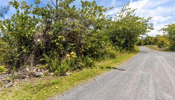 15-929 Lemiwai Rd  Keaau, Hi vacant land for sale - photo 1 of 21