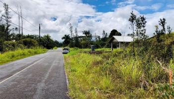 16 Tree Fern Drive  Pahoa, Hi vacant land for sale - photo 1 of 18