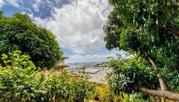 1607 Alencastre Street St. Louis, Diamond Head home - photo 5 of 12