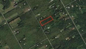 16-1065 Road 11 Road  Kurtistown, Hi vacant land for sale - photo 4 of 11