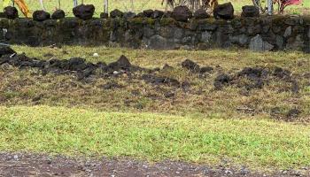 16-1376 35th Ave Orchid Land Est, Puna home - photo 1 of 19 16-1376 35th Ave Orchid Land Est, Puna home - photo 1 of 19