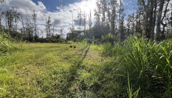 16-2142 Orchid Dr  Pahoa, Hi vacant land for sale - photo 4 of 8