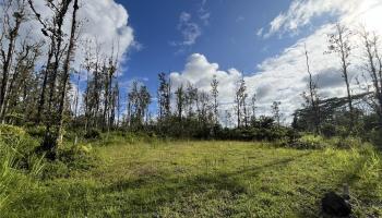 16-2142 Orchid Dr  Pahoa, Hi vacant land for sale - photo 6 of 8