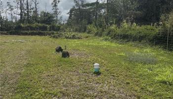 16-2142 Orchid Dr  Pahoa, Hi vacant land for sale - photo 6 of 14