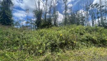 16-2143 Tradewind Dr  Pahoa, Hi vacant land for sale - photo 1 of 14