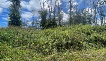 16-2143 Tradewind Dr  Pahoa, Hi vacant land for sale - photo 2 of 14
