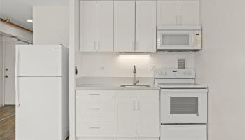 1650 Kanunu St Honolulu - Rental - photo 3 of 20