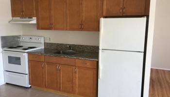 1655 Makaloa St Honolulu - Rental - photo 4 of 9