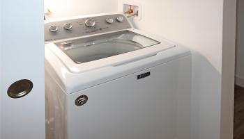 1717 Mott Smith Dr Honolulu - Rental - photo 6 of 12