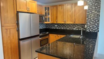 1717 Mott Smith Dr Honolulu - Rental - photo 2 of 18