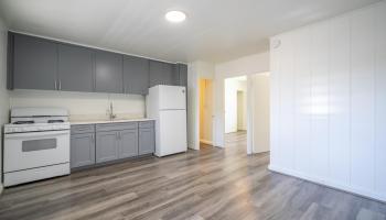 1719 Nuuanu Ave Honolulu - Rental - photo 5 of 14