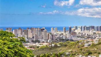 1732-A  Mikahala Way Wilhelmina, Diamond Head home - photo 4 of 25