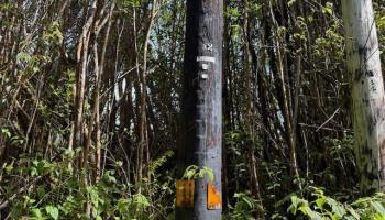 17-3352 Maunalani Road  Mountain View, Hi vacant land for sale - photo 1 of 9