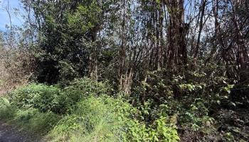 17-3352 Maunalani Road  Mountain View, Hi vacant land for sale - photo 2 of 9