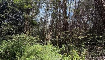 17-3352 Maunalani Road  Mountain View, Hi vacant land for sale - photo 3 of 9