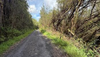 17-3352 Maunalani Road  Mountain View, Hi vacant land for sale - photo 4 of 9