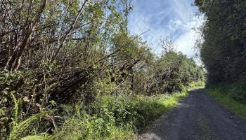 17-3352 Maunalani Road  Mountain View, Hi vacant land for sale - photo 5 of 9