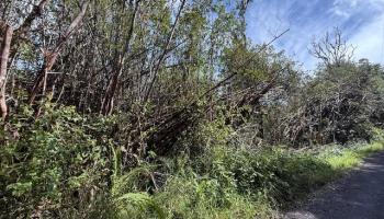 17-3352 Maunalani Road  Mountain View, Hi vacant land for sale - photo 6 of 9